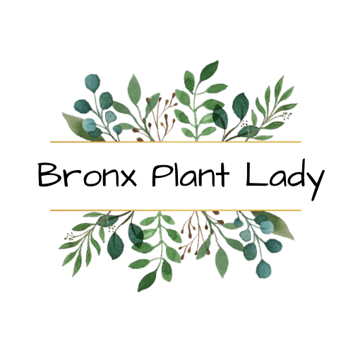 Bronx Plant Lady